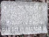 image of grave number 482058