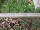 image of grave number 482071
