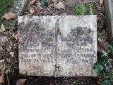 image of grave number 482073