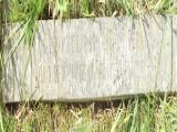 image of grave number 481906