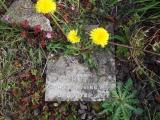 image of grave number 481930