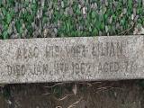 image of grave number 481947