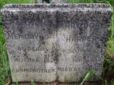 image of grave number 481961