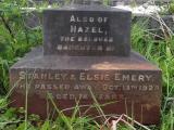 image of grave number 481972