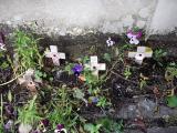 War Memorial