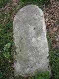 image of grave number 340184