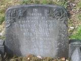 image of grave number 163316