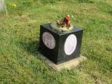 image of grave number 832737