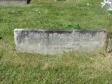 image of grave number 832100