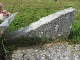 image of grave number 832217
