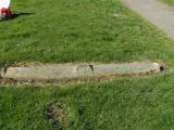 image of grave number 666560