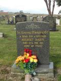 image of grave number 666766