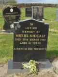 image of grave number 666883
