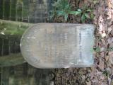 image of grave number 836965