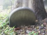 image of grave number 837061