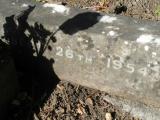 image of grave number 530877
