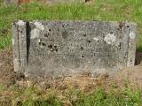 image of grave number 530921