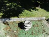 image of grave number 867116