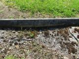 image of grave number 867133