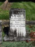 image of grave number 867219