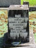 image of grave number 867219
