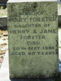 image of grave number 867219