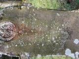 image of grave number 904240