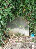 image of grave number 100013