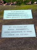 image of grave number 315182