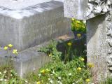 image of grave number 323910