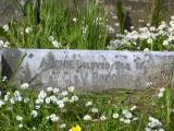 image of grave number 323911