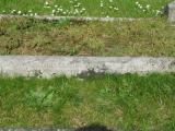 image of grave number 422804