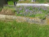image of grave number 422816