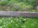 image of grave number 422851