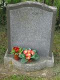 image of grave number 423129