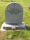 image of grave number 423174