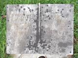 image of grave number 449343