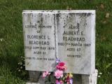 image of grave number 486517