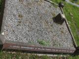 image of grave number 486545