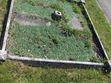 image of grave number 482975