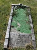 image of grave number 482982