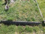 image of grave number 482722