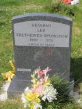 image of grave number 483458