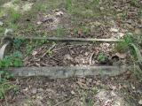 image of grave number 499308