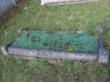 image of grave number 462558