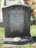 image of grave number 462570