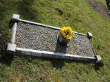 image of grave number 462587
