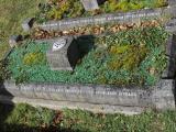 image of grave number 462645