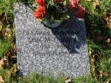 image of grave number 462881