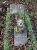 image of grave number 462455